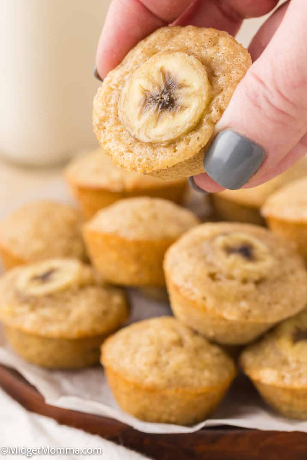 Mini Banana Muffins Recipe • MidgetMomma