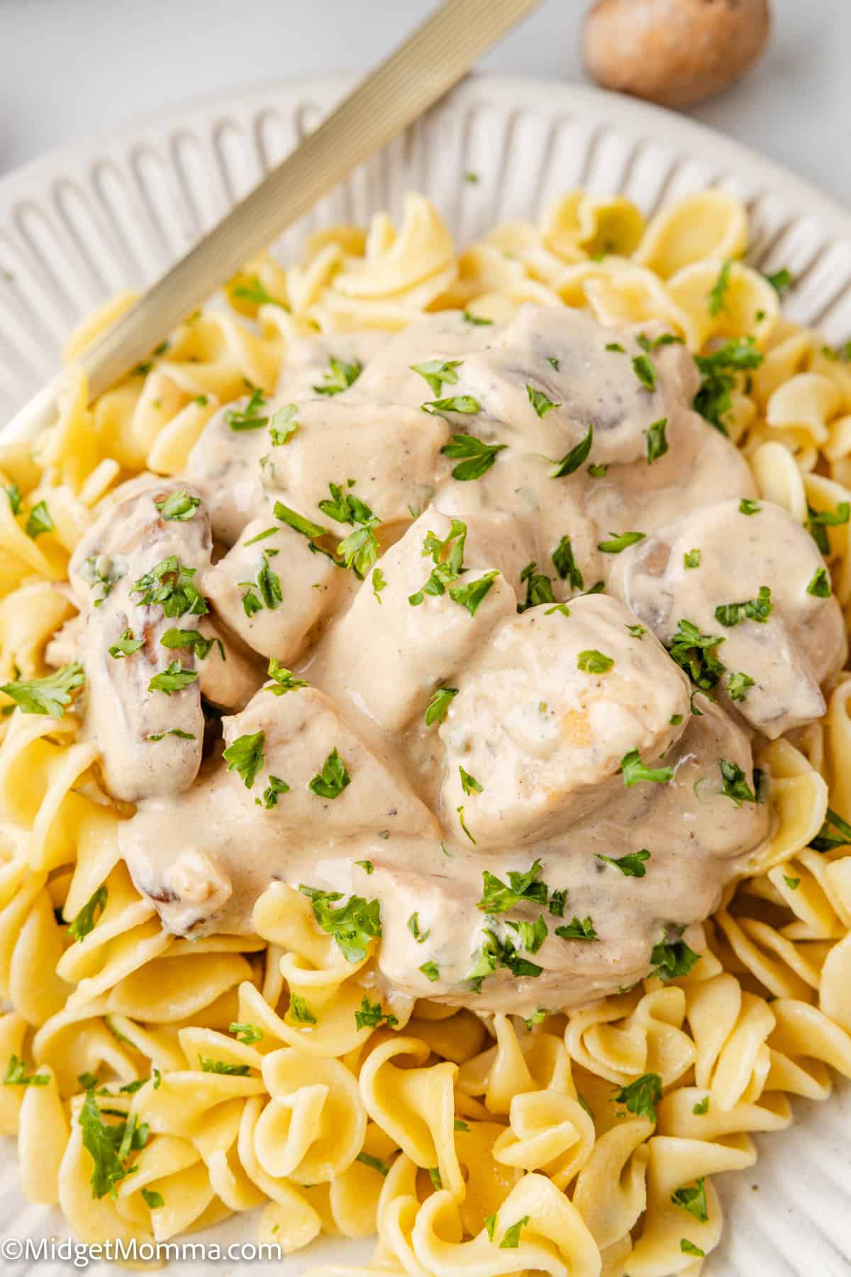 Plate of egg noodles topped with creamy chicken and mushroom sauce, garnished with chopped parsley.