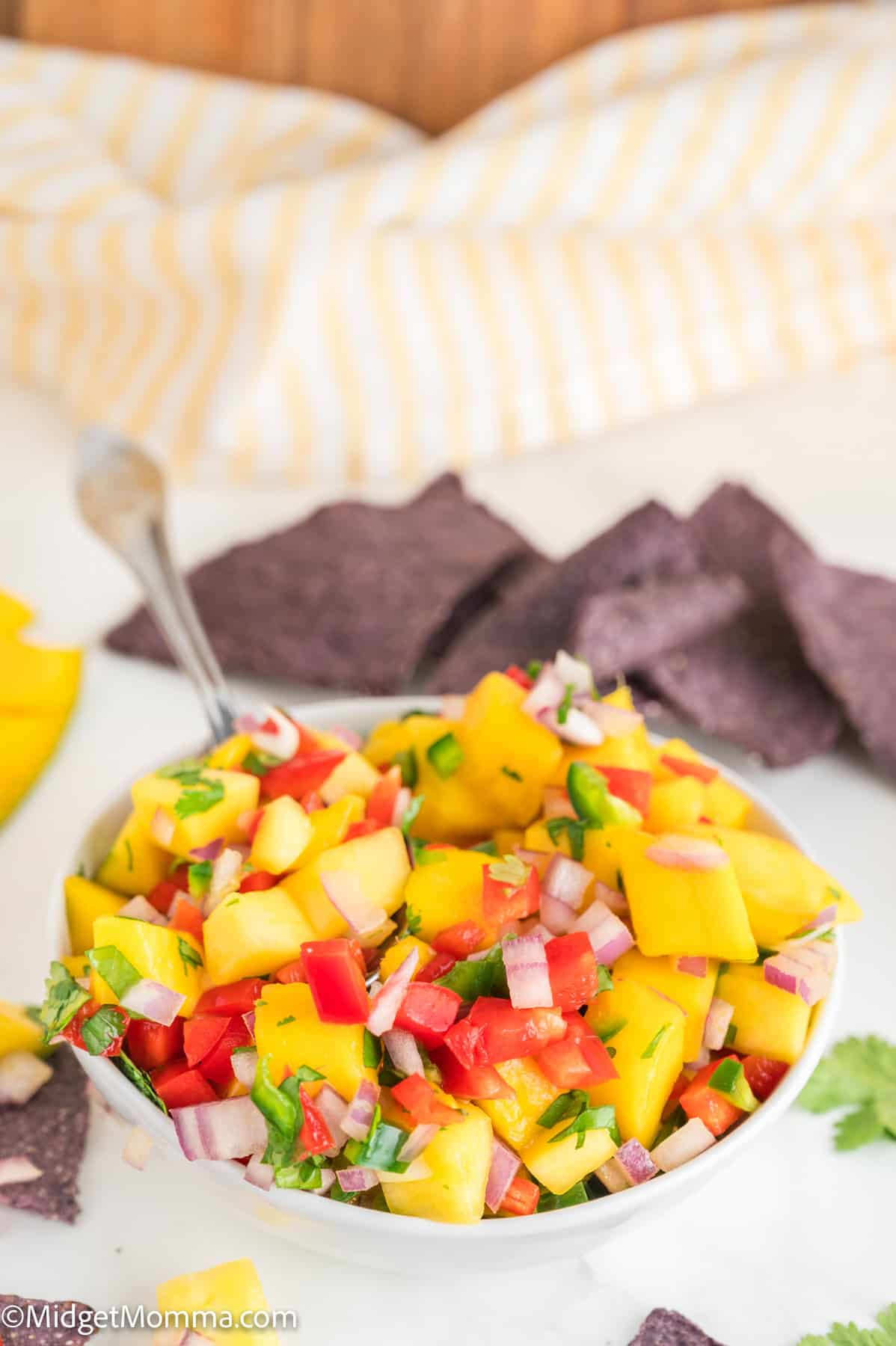 Fresh Mango Salsa Recipe