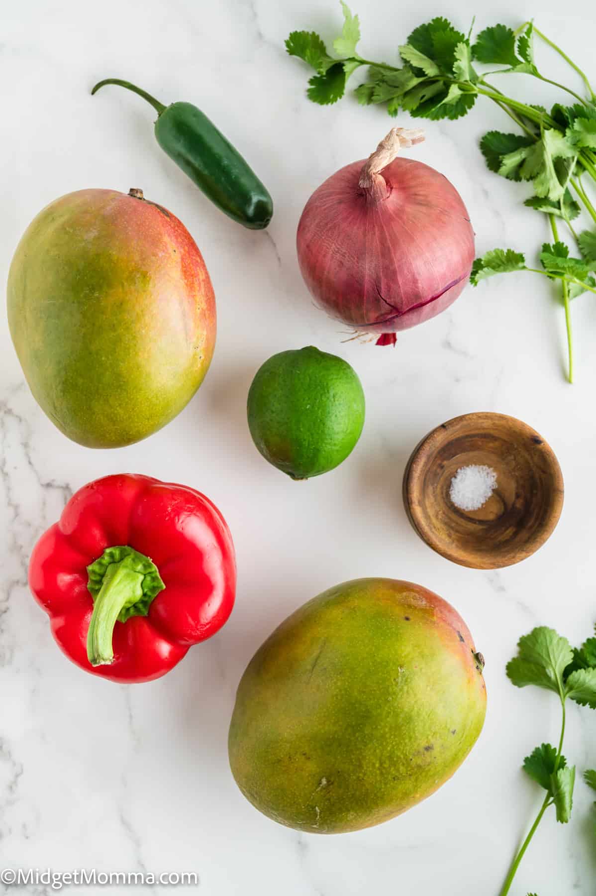 Mangoes, a red bell pepper, a red onion, a jalapeño, a lime, fresh cilantro, and a small wooden bowl of salt arranged on a white surface.