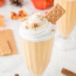 Pumpkin Pie Milkshake Recipe