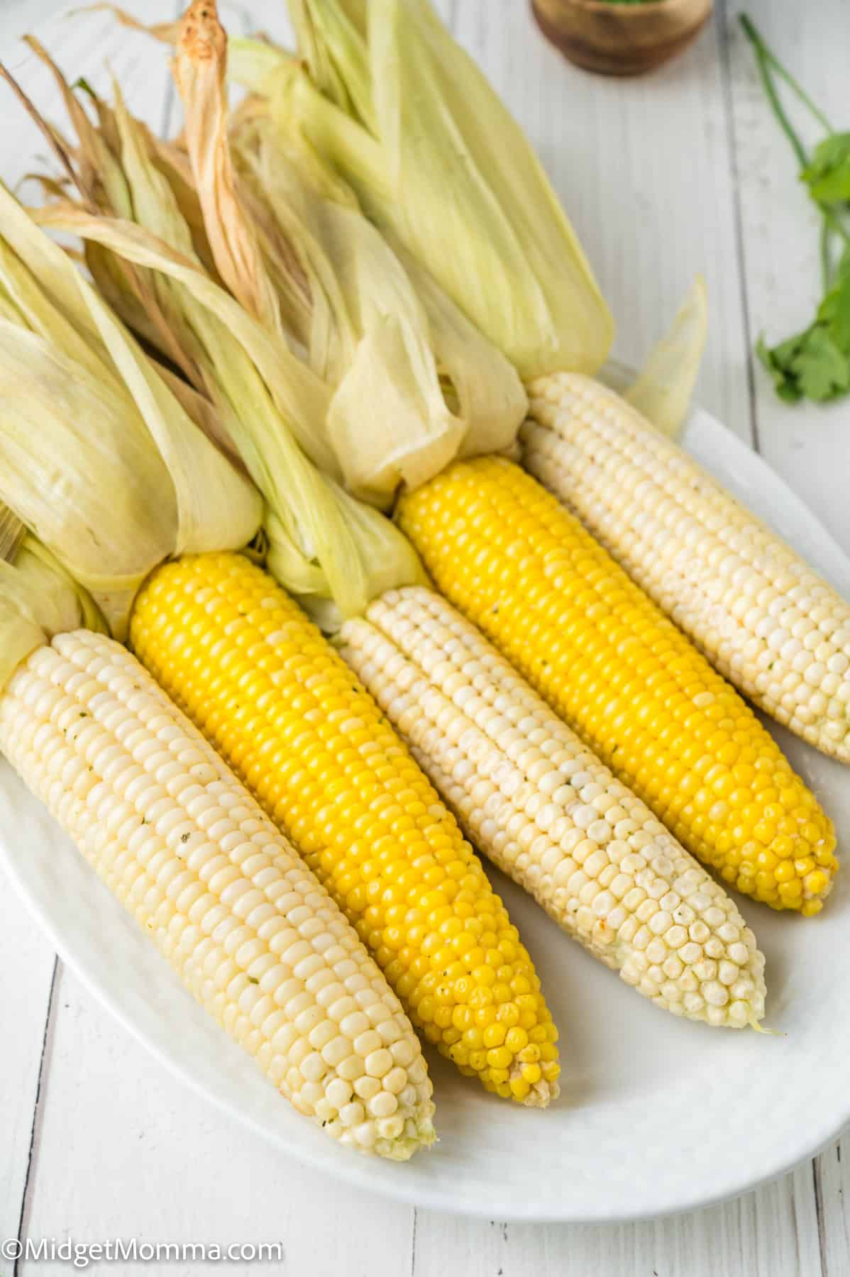 Six ears of corn, both yellow and white varieties, with husks partially pulled back, arranged on a white oval plate.