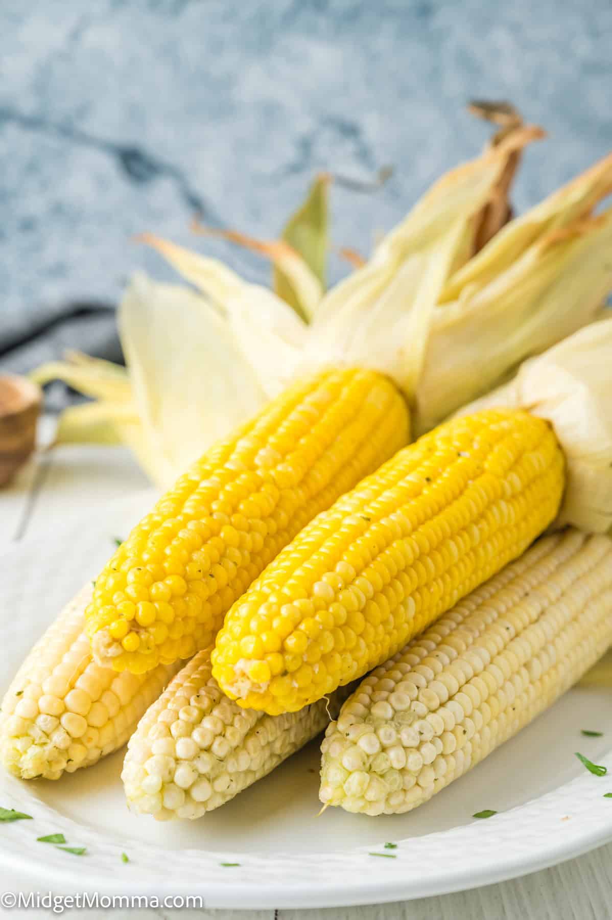 Three ears of corn with husks partially removed, arranged on a white plate. The kernels are yellow and white, and the background is out of focus.