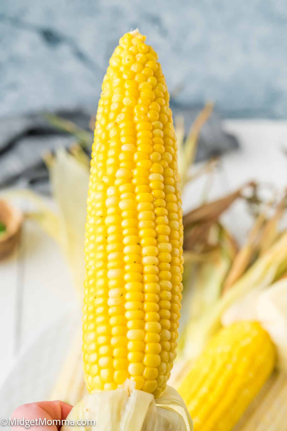 A close-up of a hand holding a peeled ear of yellow corn with kernels visible.