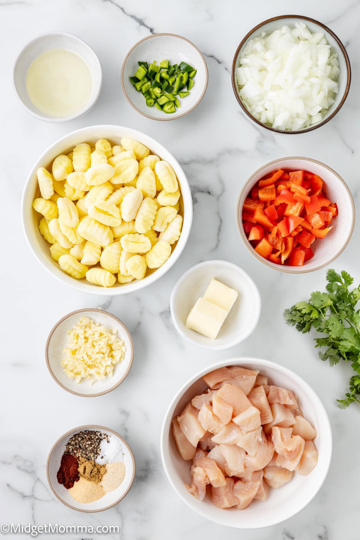 Bowls containing gnocchi, diced raw chicken, chopped onion, chopped red bell pepper, sliced green chili, shredded cheese, butter, oil, spices, and fresh cilantro on a marble surface.