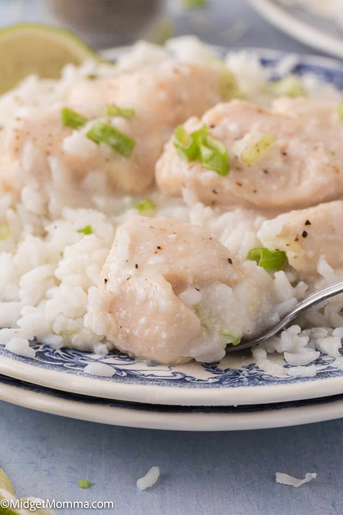A close-up of creamy chicken pieces served over white rice on a blue and white patterned plate, garnished with chopped green onions.