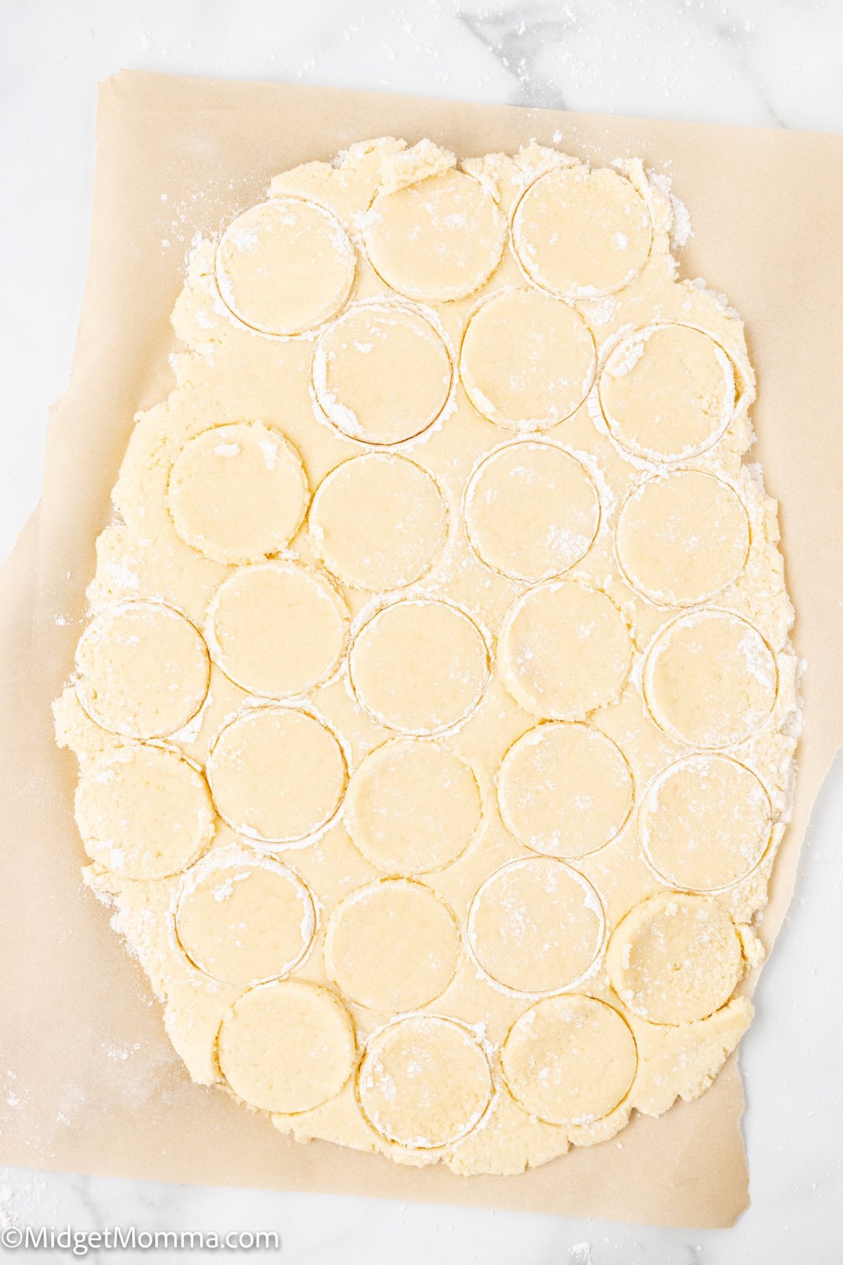 Rolled out dough with multiple round shapes cut out, laid on parchment paper and dusted with flour.