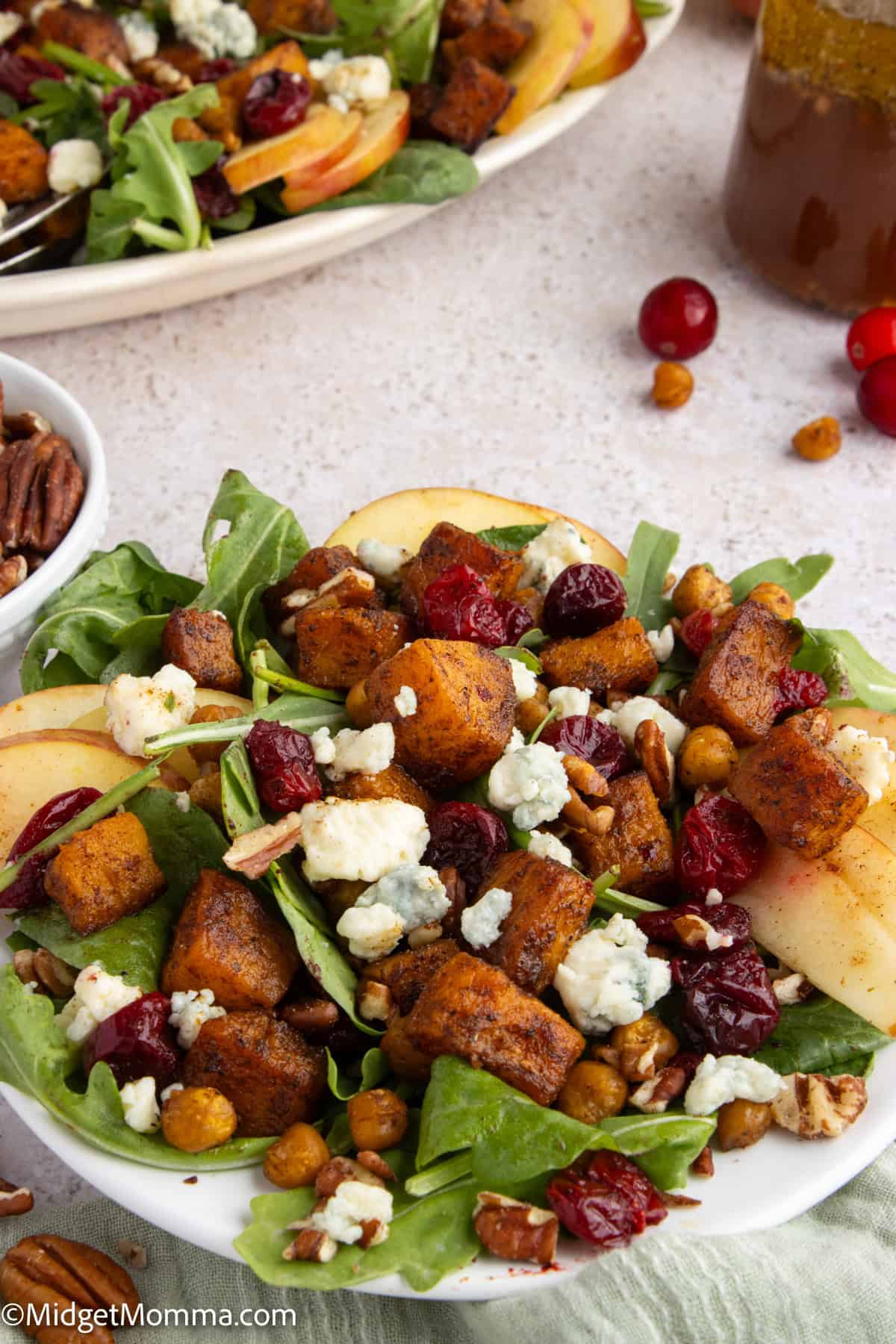 A salad with arugula, sliced apples, roasted chickpeas, candied pecans, dried cranberries, blue cheese crumbles, and cubed roasted sweet potatoes on a plate.