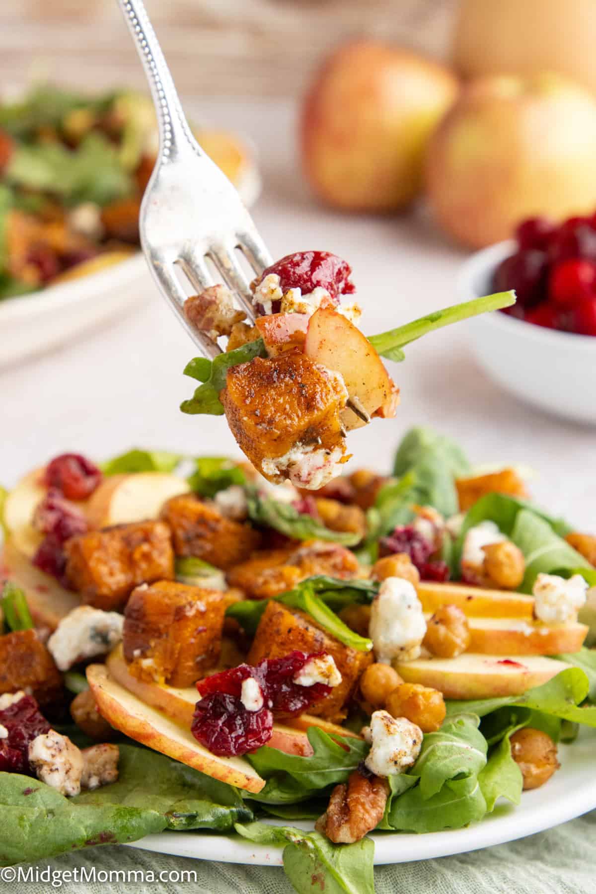 Fall Harvest Salad Recipe